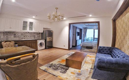 high-toned-1-bedroom-apartment-hoan-kiem-for-rent (2)