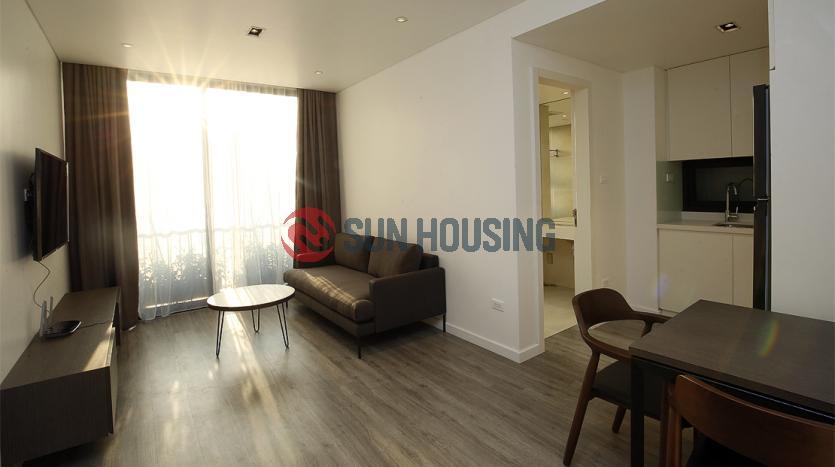 Newly apartment for rent in Trinh Cong Son street, 1br for only $550