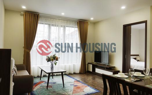 Totally brand new apartment in Dao Tan street – near Lotte Center