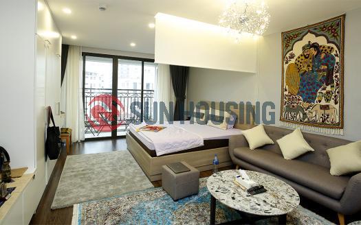 Fully furnished 44 sqm Studio for rent in D’. Le Roi Soleil