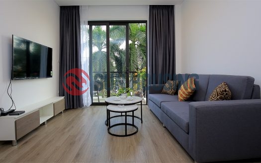 Beautiful service apartment 2 bedrooms in Tu Hoa to rent